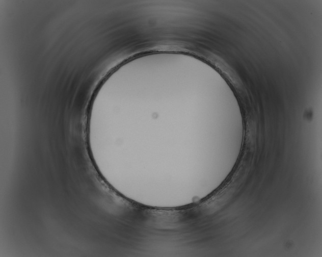 X0000091700856200708241221