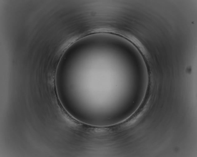 X0000091700857200708241222