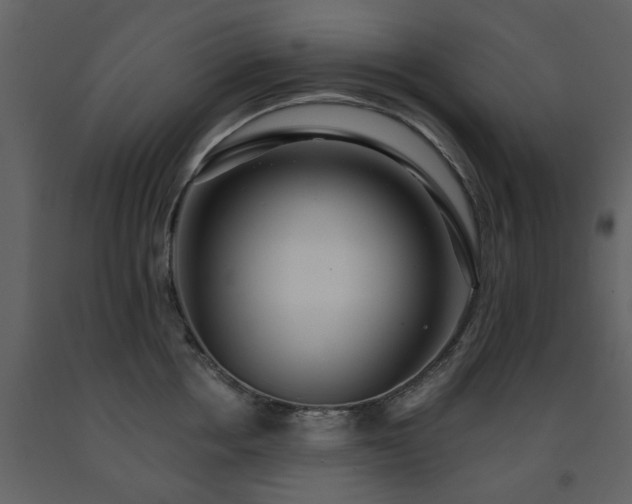 X0000091700858200708241222