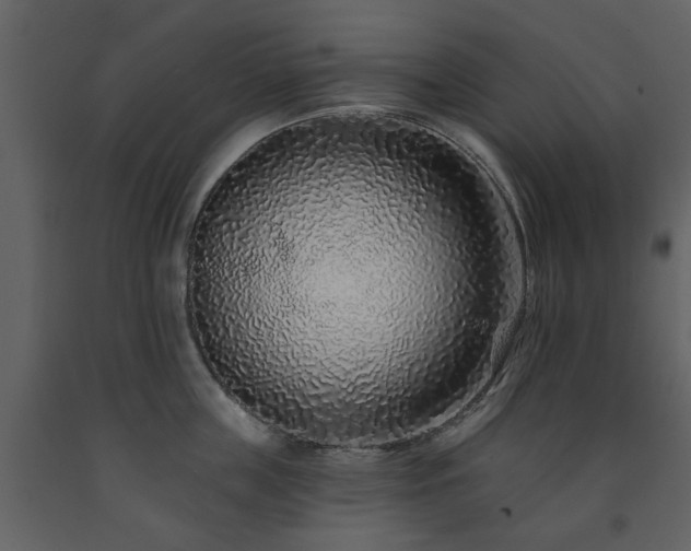 X0000091700859200708241222
