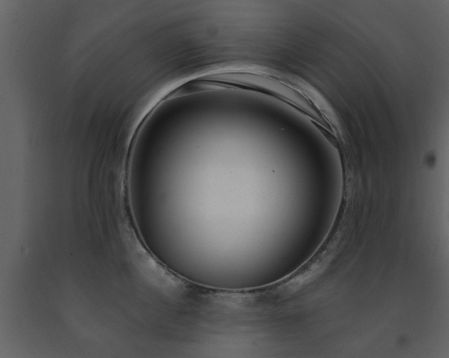 X0000091700860200708241222