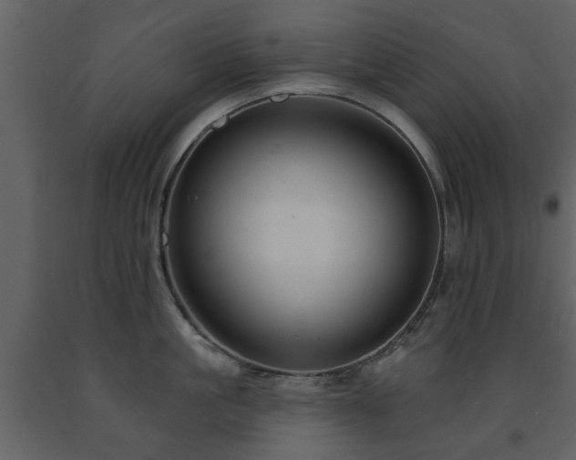 X0000091700861200708241222