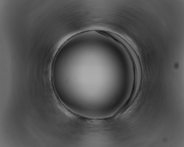 X0000091700862200708241222