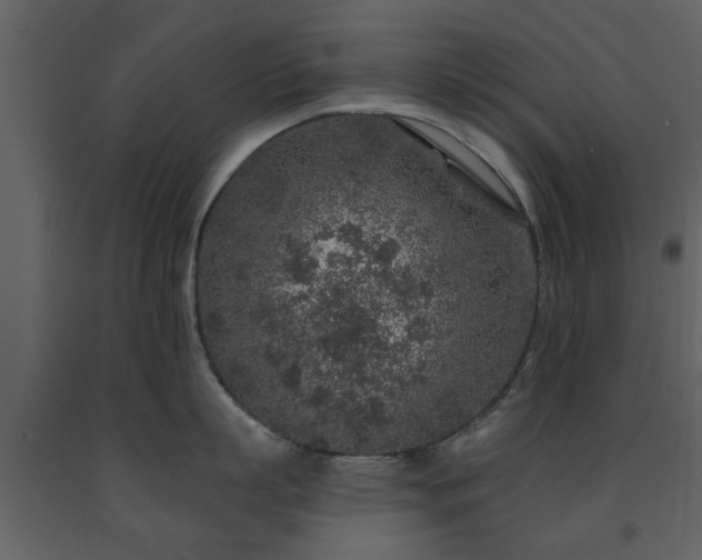 X0000091700863200708241222