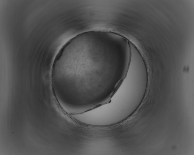 X0000091700864200708241222