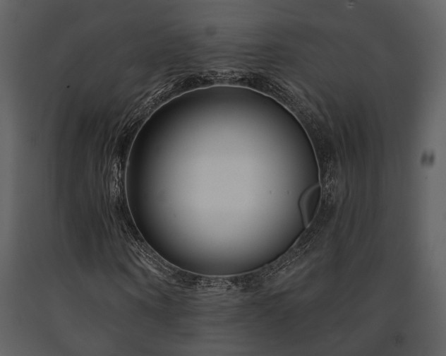 X0000091700866200708241221