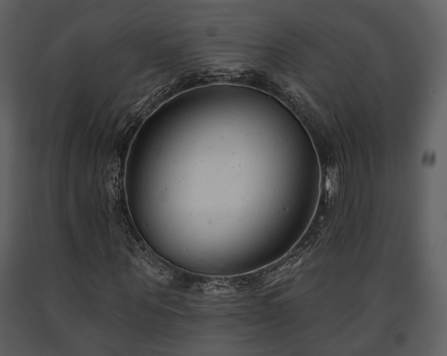 X0000091700867200708241221