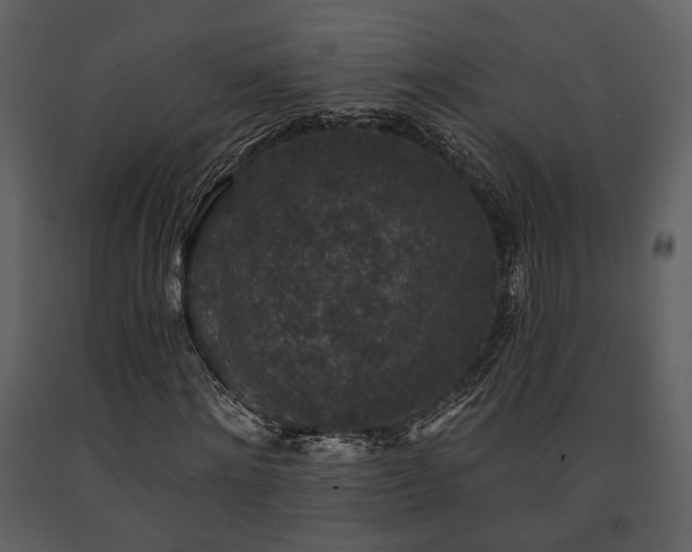 X0000091700868200708241221