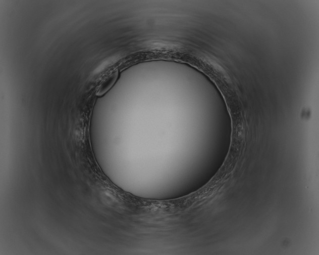 X0000091700869200708241221