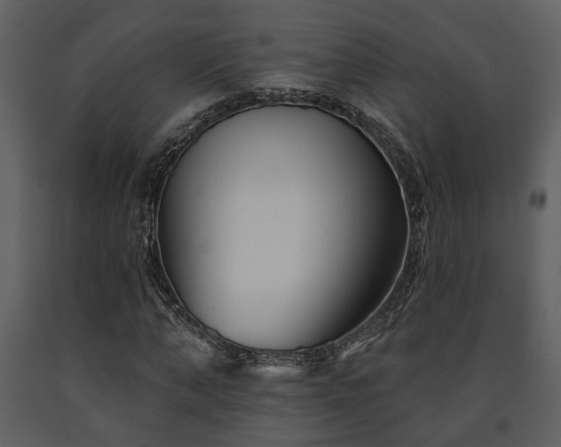 X0000091700870200708241221