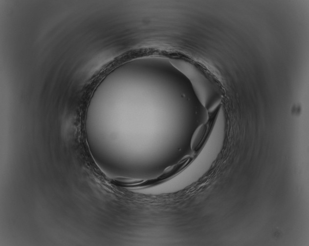 X0000091700872200708241221