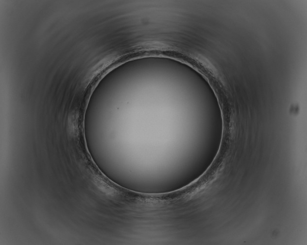 X0000091700873200708241221