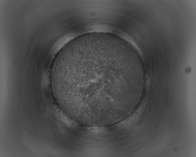 X0000091700874200708241221