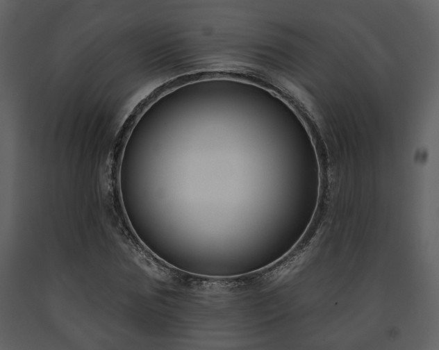 X0000091700875200708241221