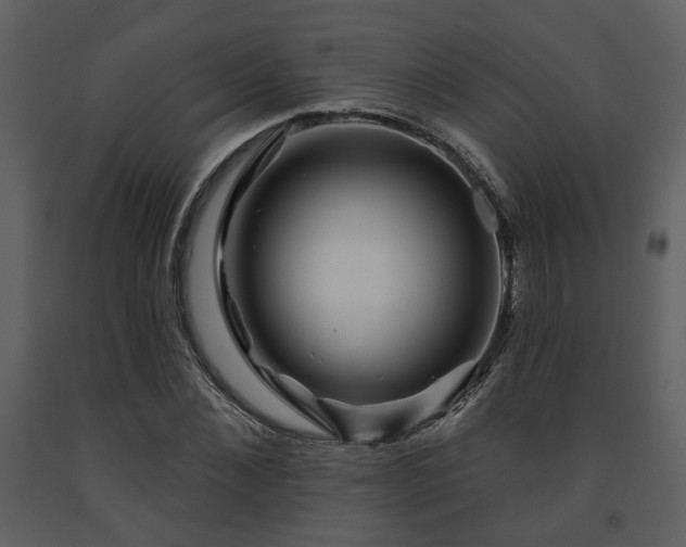 X0000091700876200708241221
