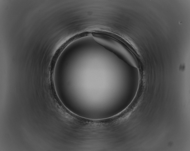 X0000091700877200708241221