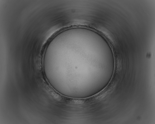 X0000091700878200708241221