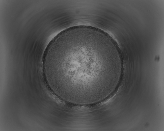 X0000091700879200708241221
