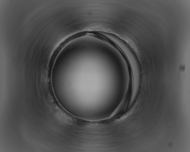 X0000091700880200708241221