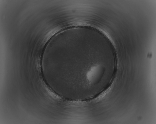 X0000091700881200708241221
