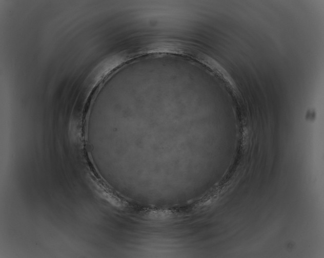 X0000091700882200708241221