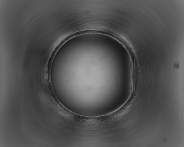 X0000091700883200708241221