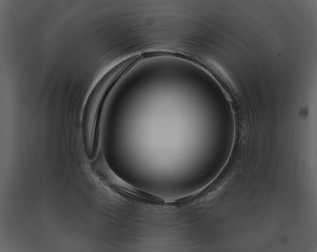 X0000091700884200708241221