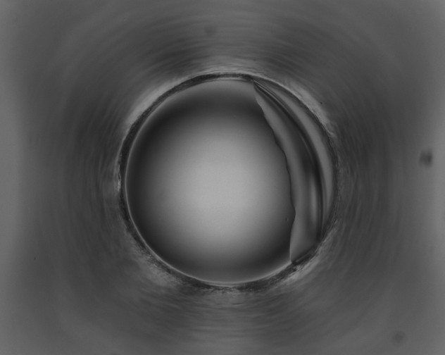 X0000091700885200708241221