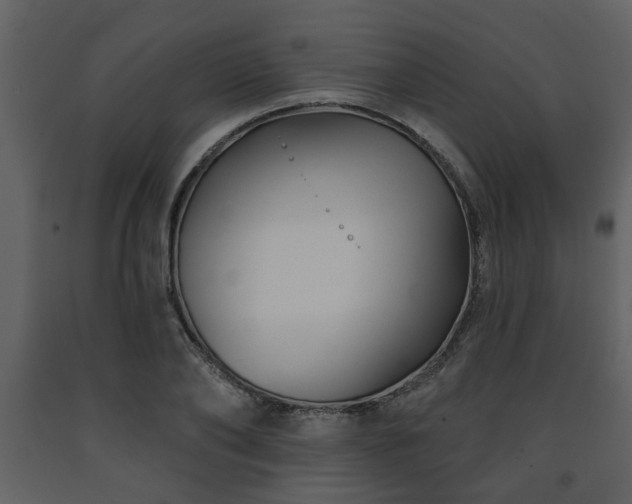 X0000091700886200708241221