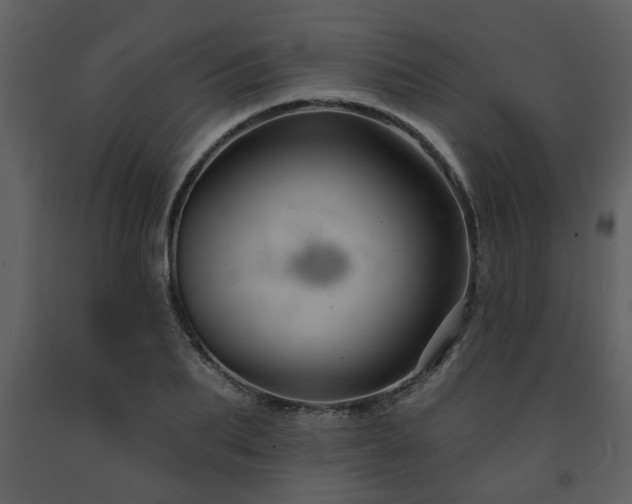 X0000091700887200708241221