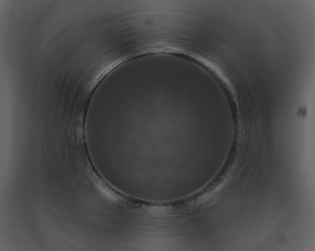 X0000091700889200708241221