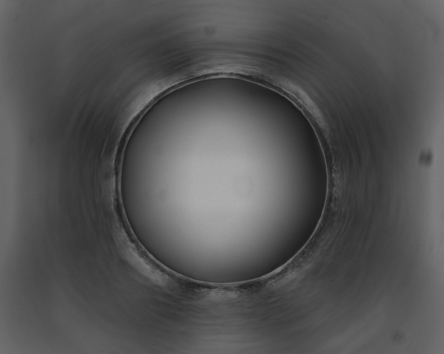 X0000091700890200708241221