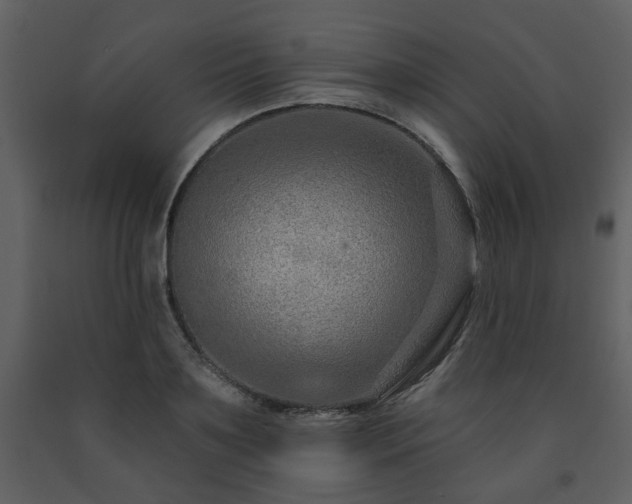 X0000091700891200708241221