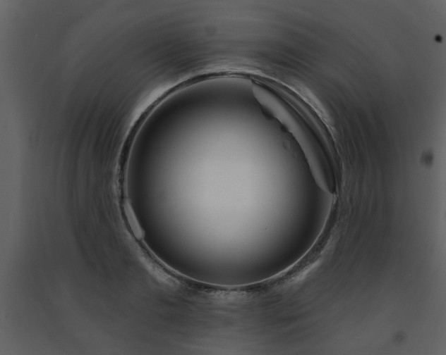 X0000091700893200708241221