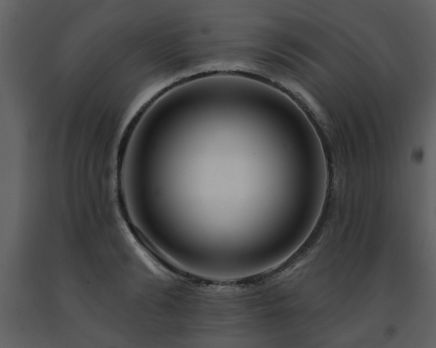 X0000091700894200708241221