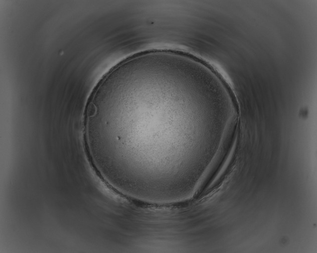 X0000091700895200708241221