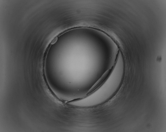 X0000091700896200708241221