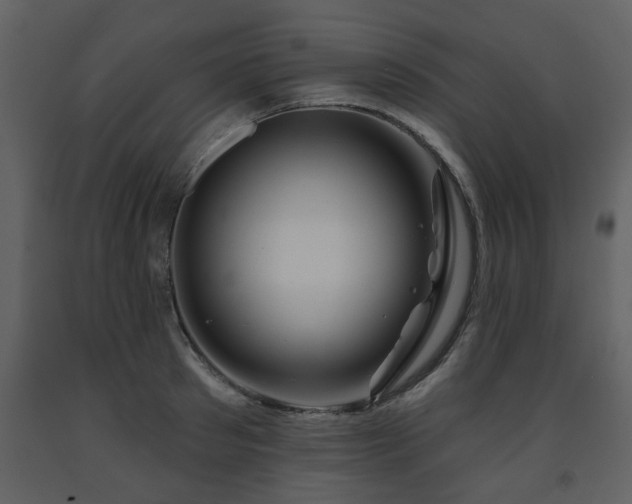 X0000091700897200708241220