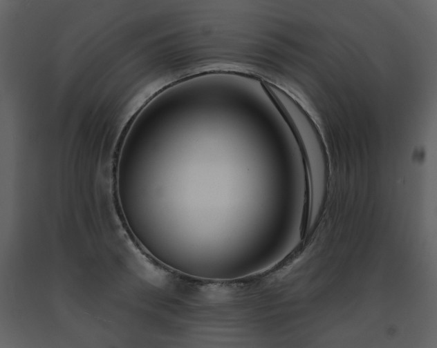 X0000091700898200708241220