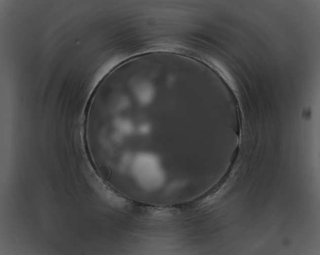 X0000091700899200708241220