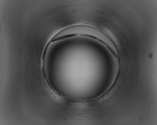 X0000091700900200708241220