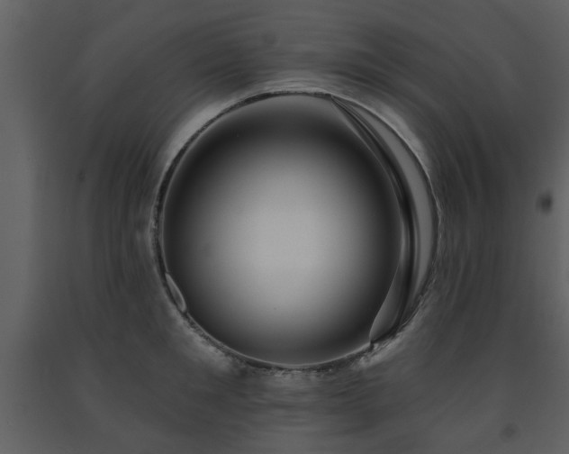 X0000091700901200708241220