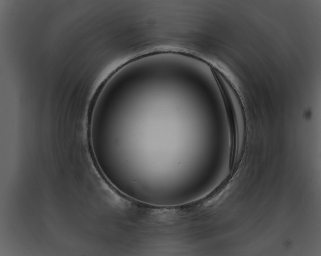 X0000091700902200708241220