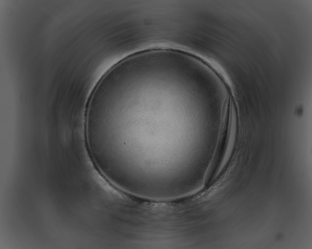 X0000091700903200708241220