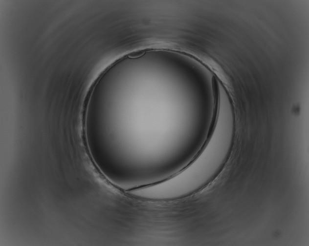 X0000091700904200708241220