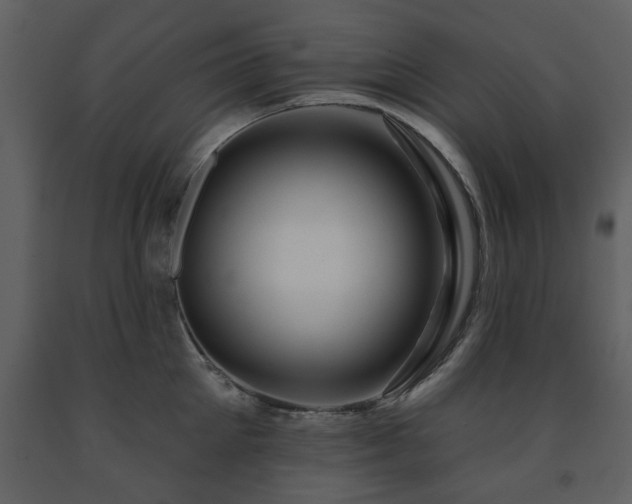 X0000091700905200708241220