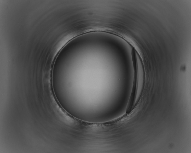 X0000091700906200708241220