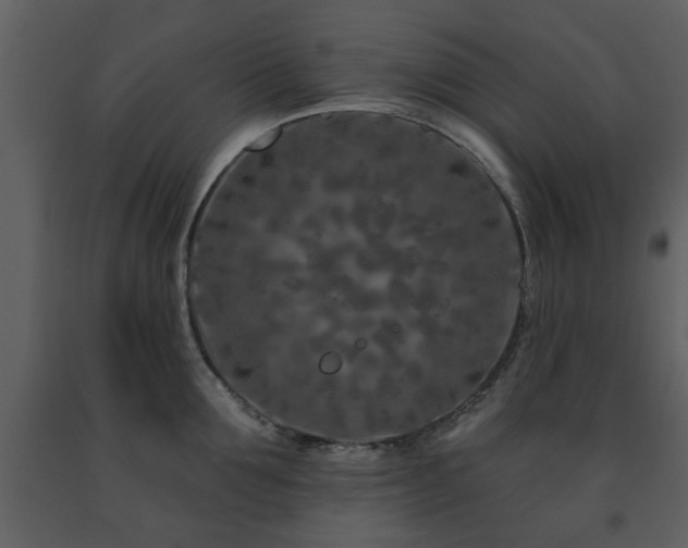 X0000091700907200708241220