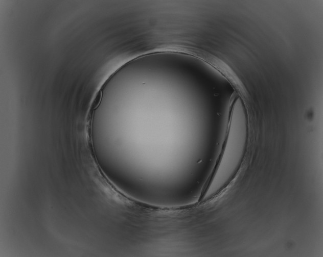 X0000091700908200708241220