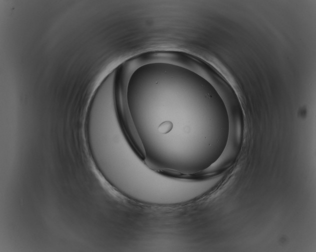 X0000091700909200708241220